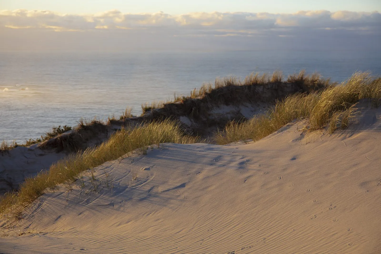 Guardamar beaches and dunes